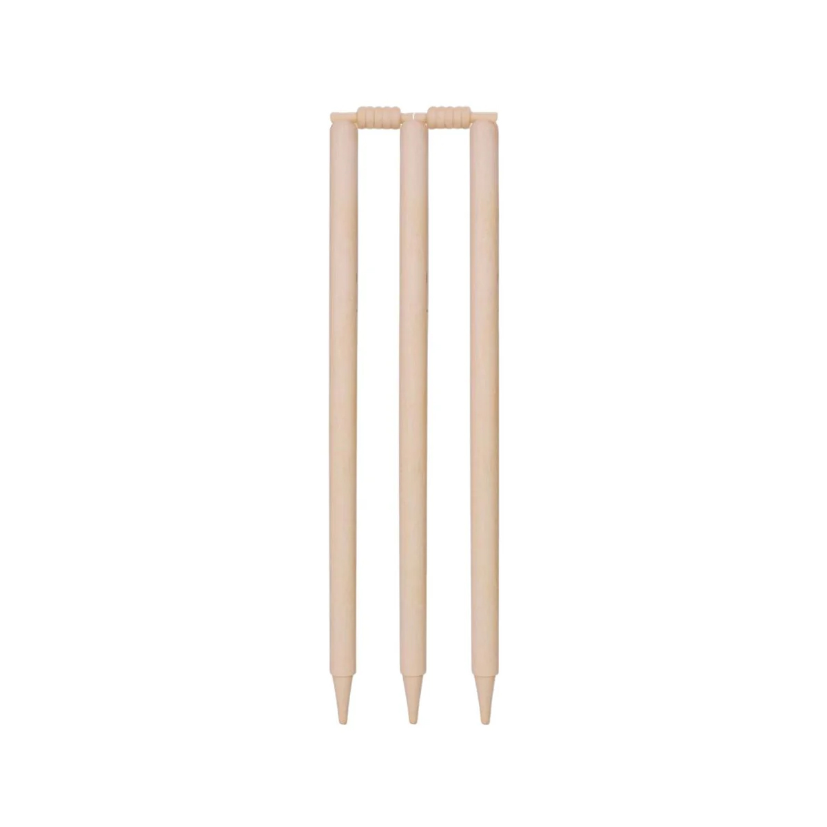DSC Bleached And Polished Cricket Stumps - Image 2